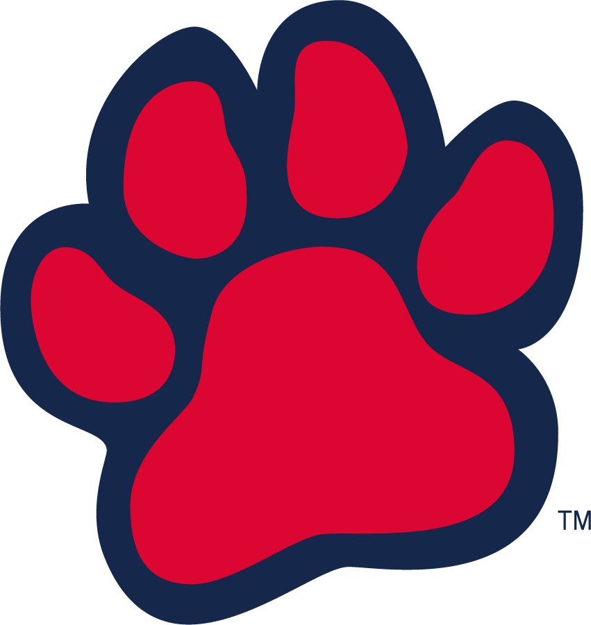 Fresno State Bulldogs 2016-2020 Alternate Logo diy DTF decal sticker